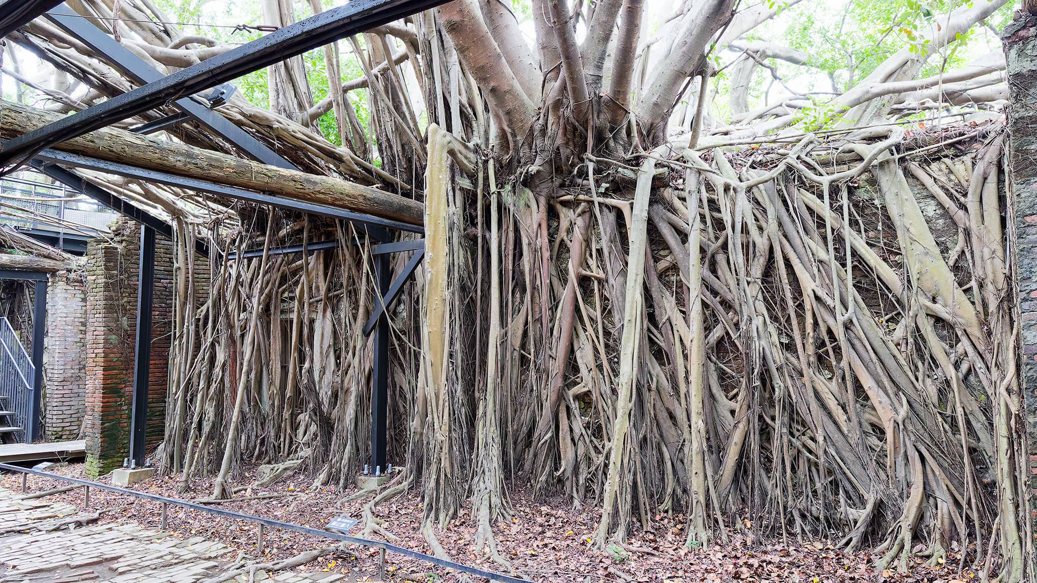 06 - Kaohsiung (57).jpg